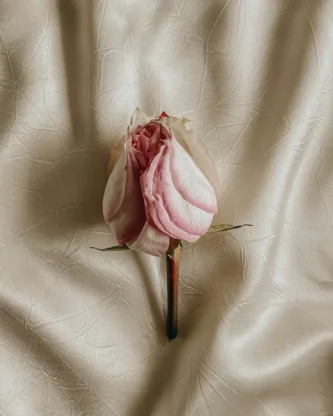 astrología-punto-aries-marte-llega-a-leo