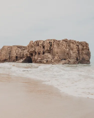 Punto-Aries-Astrología-Neptuno-Directo-Diciembre-2024-2