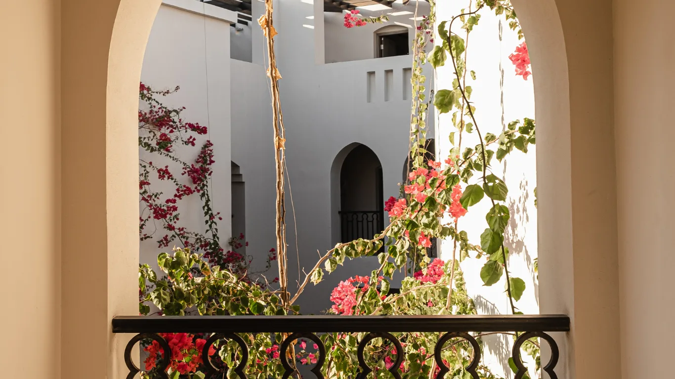 Punto-Aries-Astrología-Neptuno-Directo-Diciembre-2024