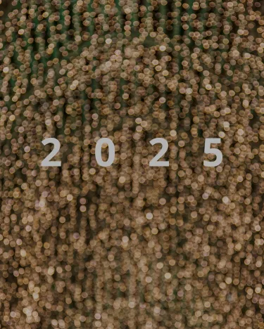 punto-aries-astrología-2025-qué-debo-saber