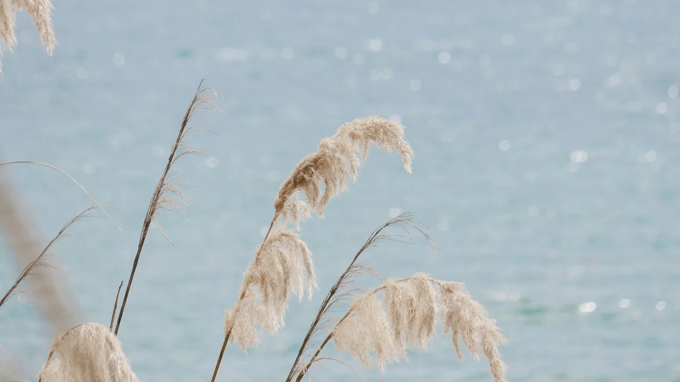 punto-aries-astrología-mercurio-en-tauro-la-mente-en-calma-2