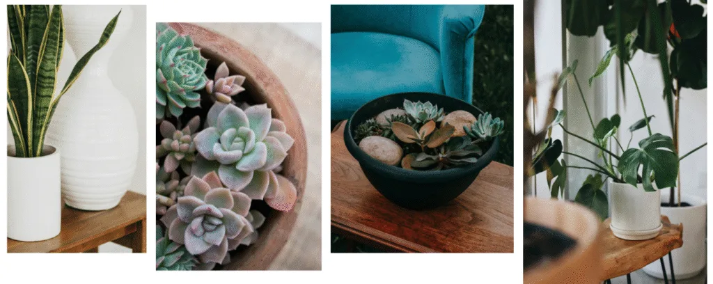 punto-aries-astrología-moda-deco-tu-rincon-de-paz-como-crear-tu-espacio-sagrado-16