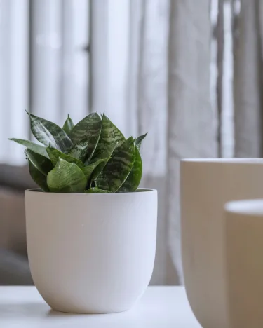 punto-aries-astrología-moda-deco-tu-rincon-de-paz-como-crear-tu-espacio-sagrado-21