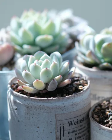 punto-aries-astrología-moda-deco-tu-rincon-de-paz-como-crear-tu-espacio-sagrado-22